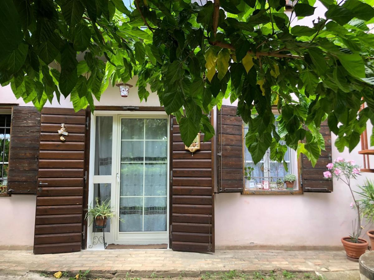 La Casa Nel Bosco Bed & Breakfast โกริเซีย ภายนอก รูปภาพ
